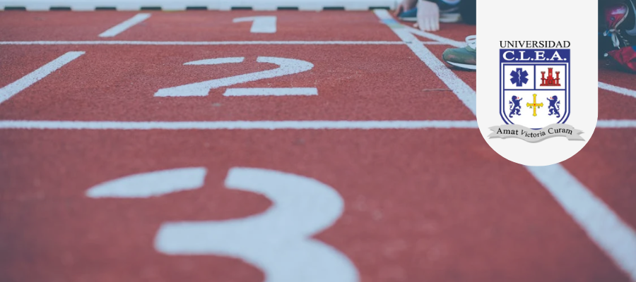 Dirección, estructura y organización del deporte en la actualidad.