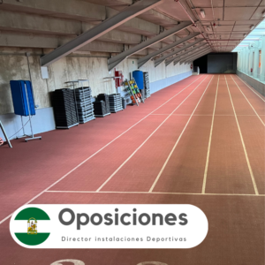 Director de Instalaciones Deportivas, Instituto Municipal de Deportes (Sevilla) (1)