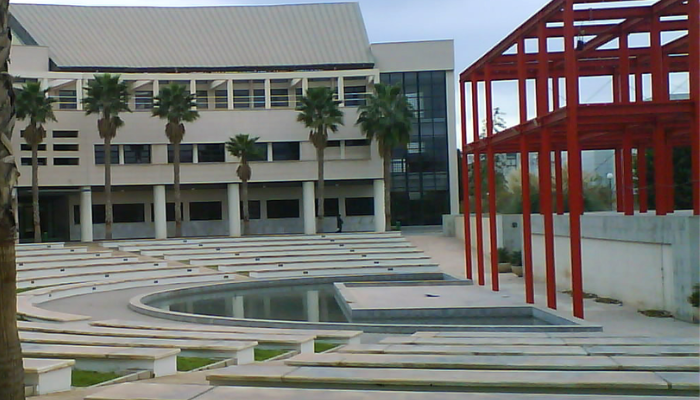 oposiciones deporte universidad de alicante